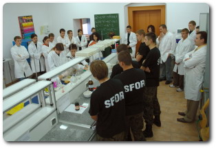sfor.jpg