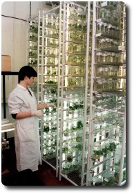 laboratorium-biol