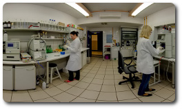 laboratorium.jpg