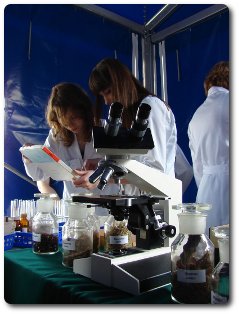 laboratorium.jpg