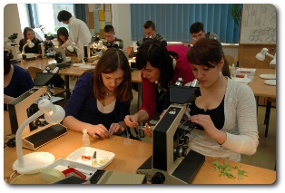laboratorium.jpg