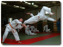 judo.jpg