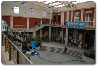patio.jpg