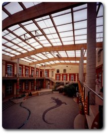 patio4.jpg