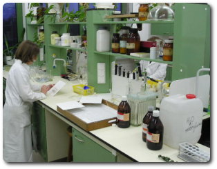 laboratorium.jpg