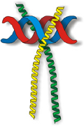 logo_festiwal_siedlce.png